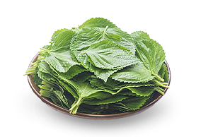 금산 깻잎