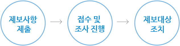 제보사항 제출 / 접수 및 조사 진행 / 제보대상 조치